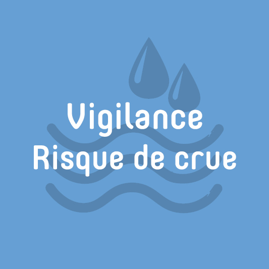 vignette risque de crue