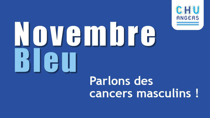Vignettes Novembre bleu